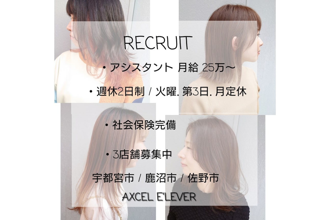 有限会社 アクセルエルヴェ画像1