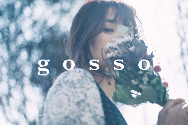 ゴッソ(gosso)7