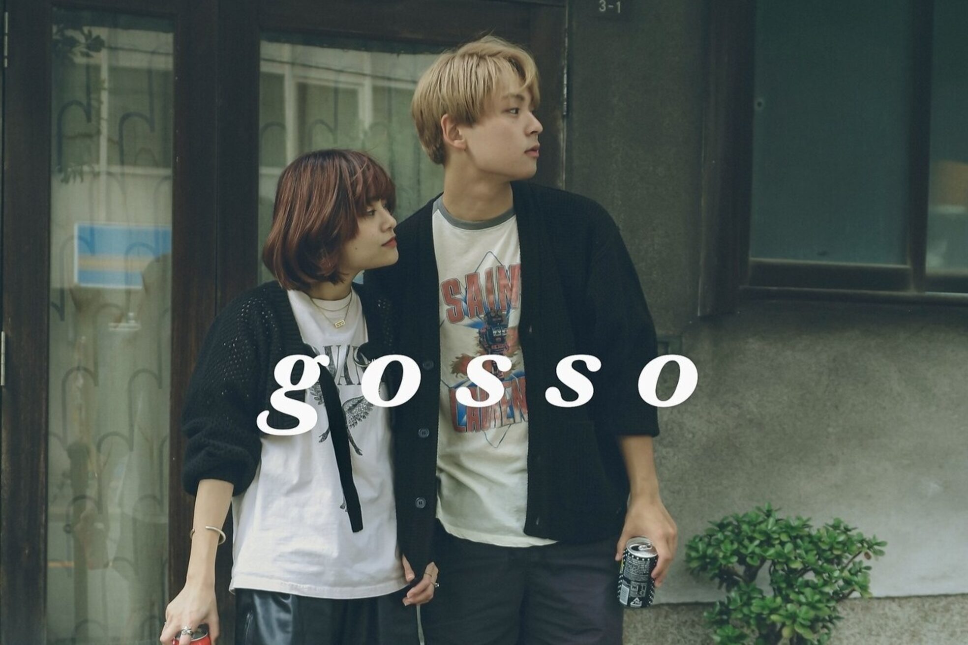 ゴッソ(gosso)6