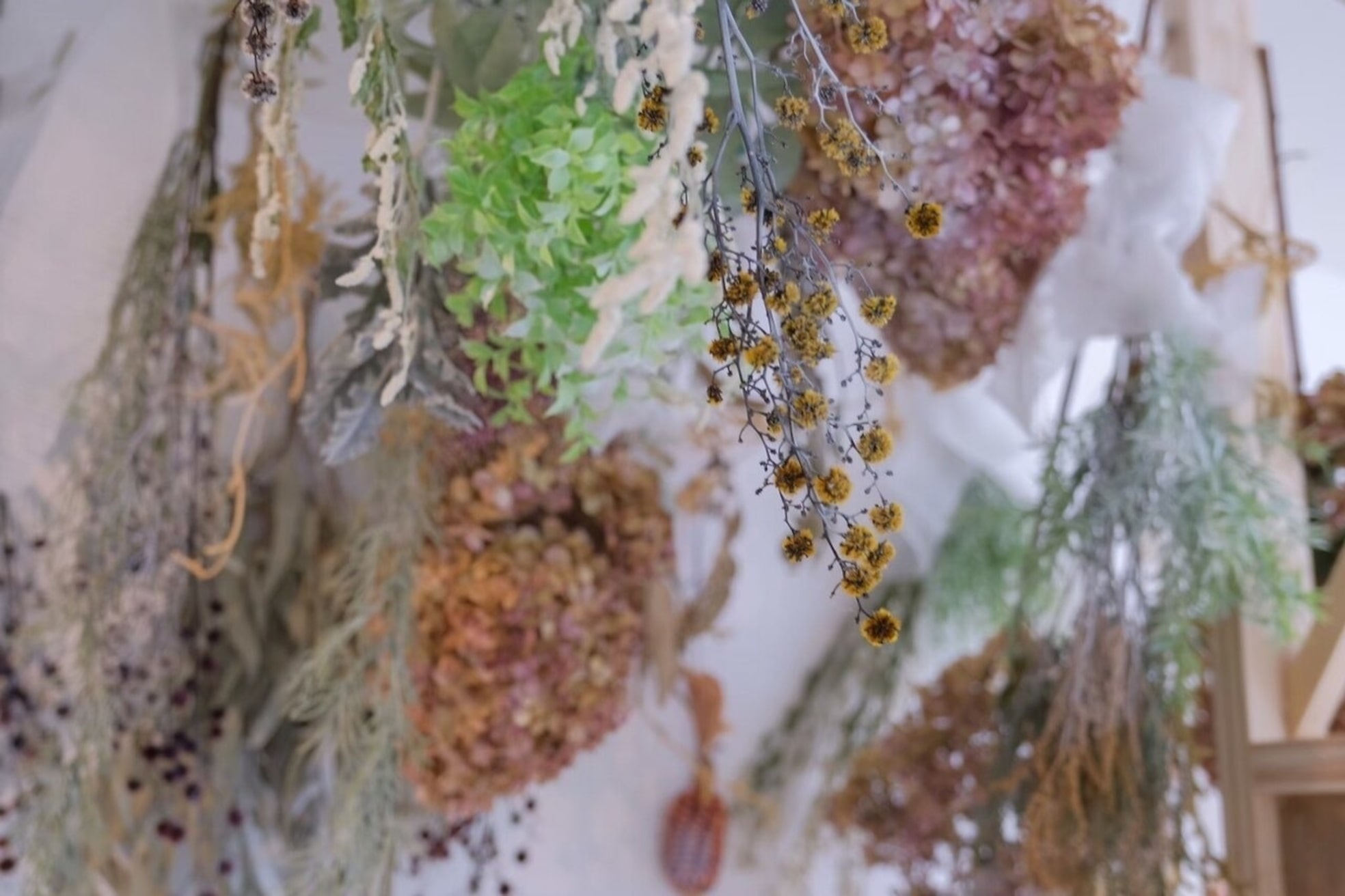 クート アンド シー 東川口(kuto and C)1