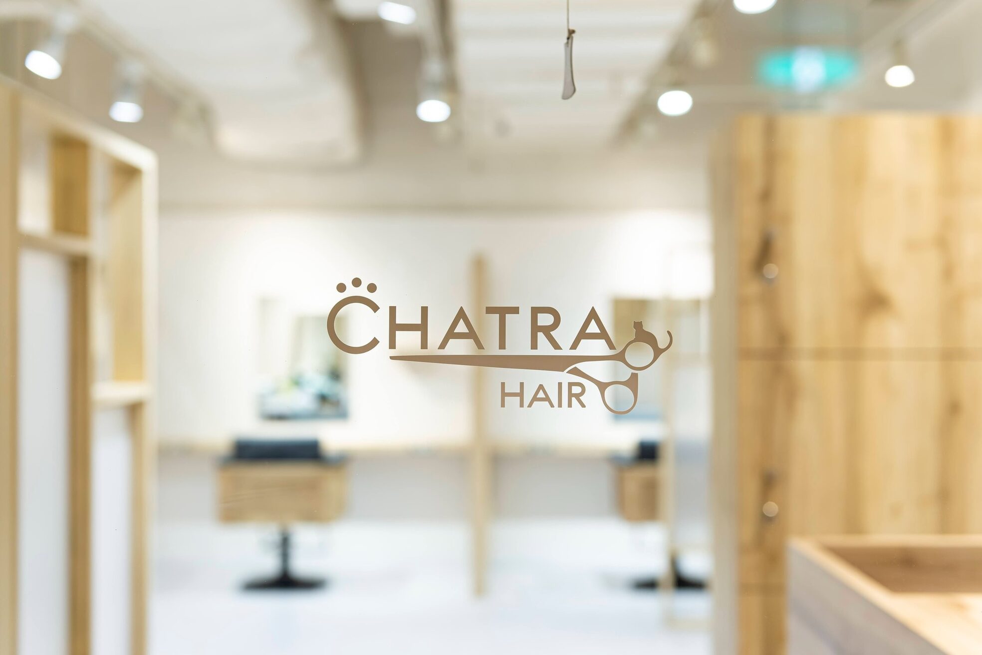 チャトラ(CHATRA)2