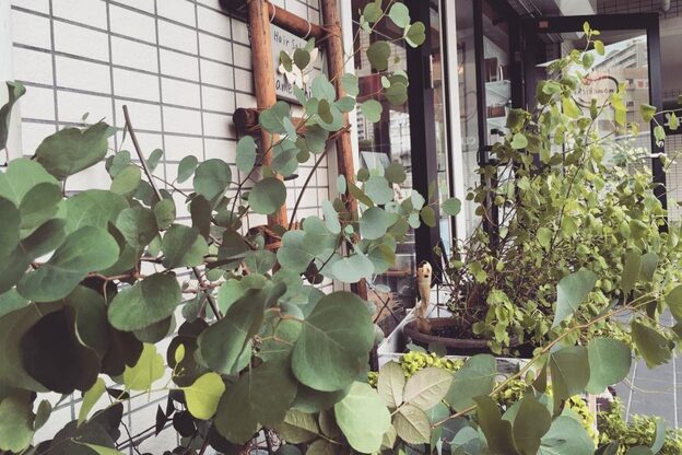 ヘアーサロン マメキチ(Hair Salon mamekichi)6