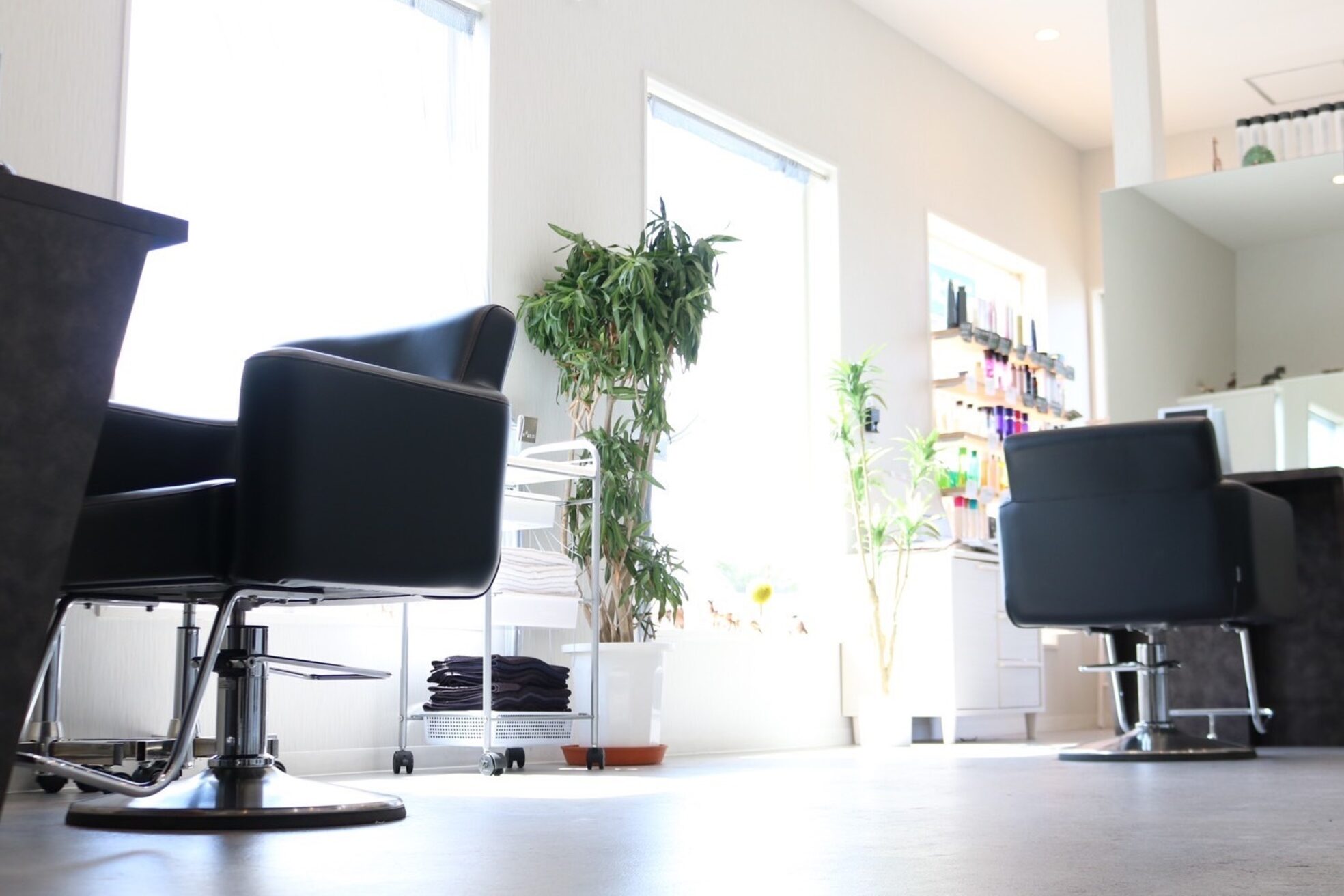 インテグリ 勝原店(INTEGRI)1