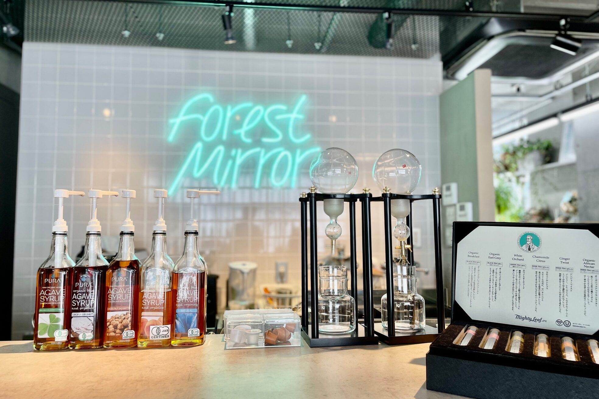 フォレストミラー(Forest Mirror)5