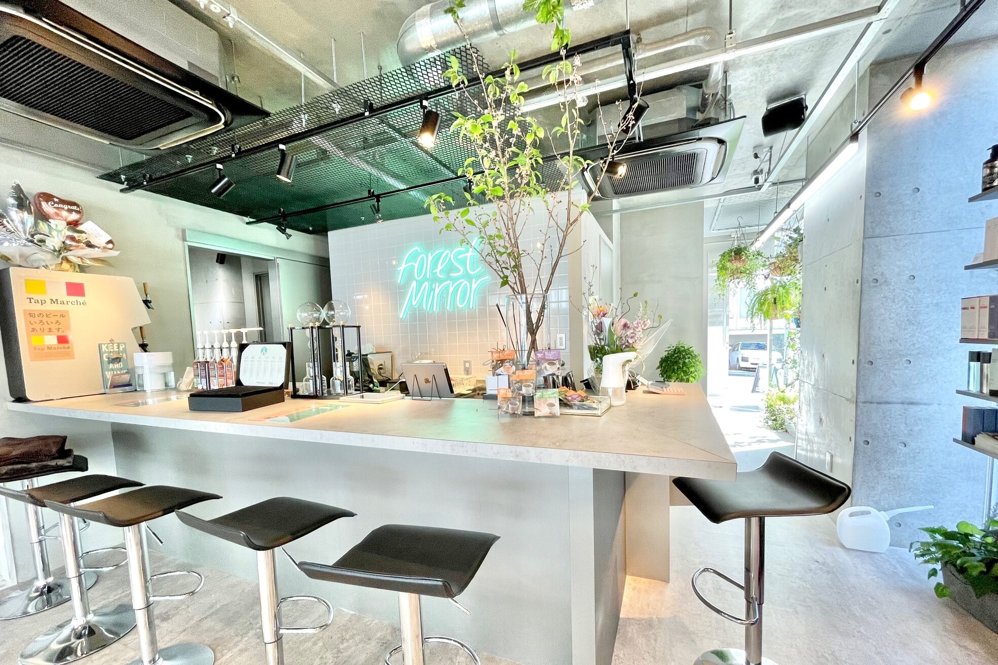 フォレストミラー(Forest Mirror)6