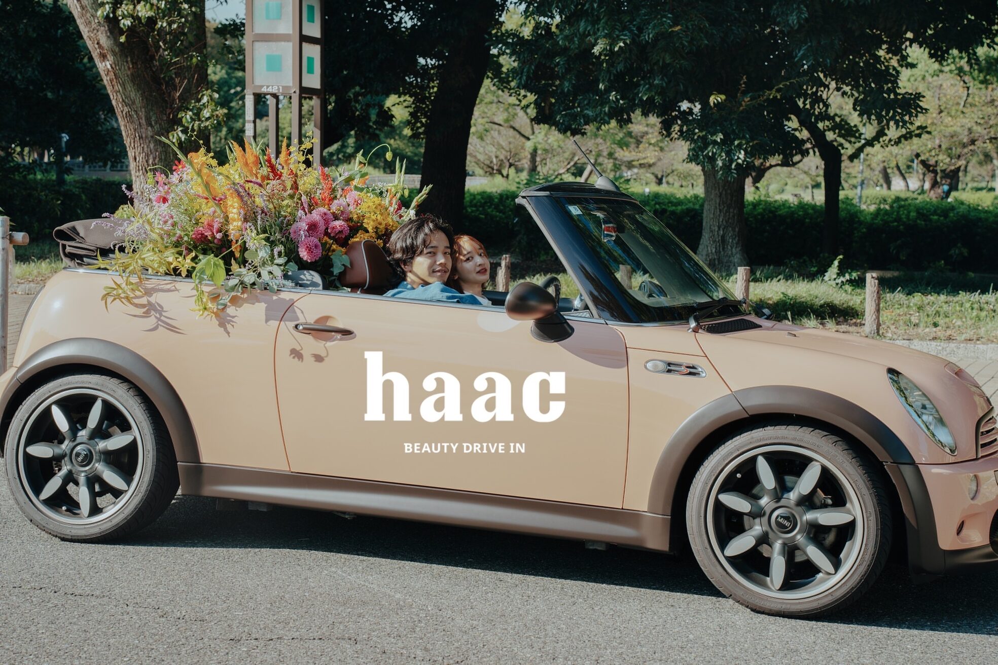 ハーク(haac)2