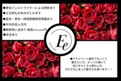 エピファニー(Epi phany Total Beauty Salon)