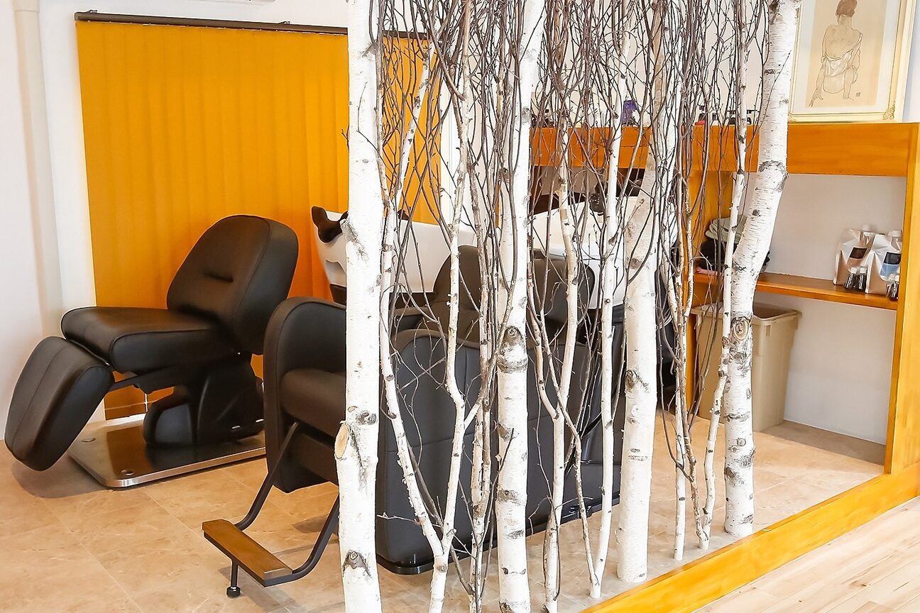 ＦＲＩＥＤＥＮ　Ａｇｉｎｇ＆Ｓｐａ画像1