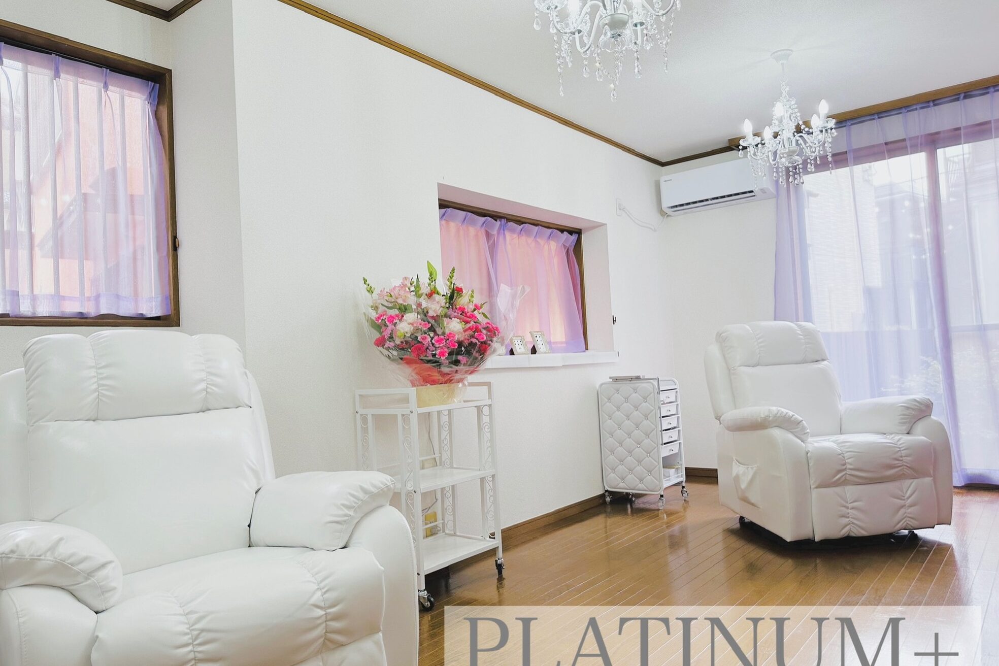 プラチナムプラス(PLATINUM+)1