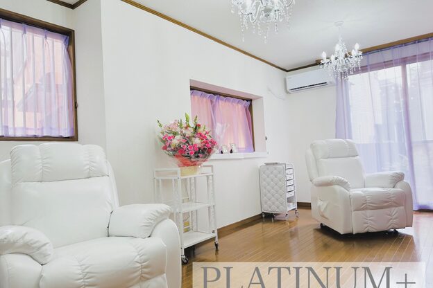 プラチナムプラス(PLATINUM+)1