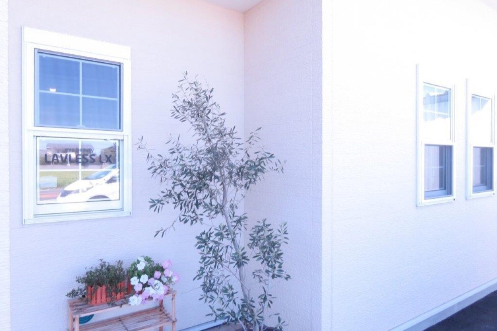 ラブレスルクス(LAVLESS LX)4