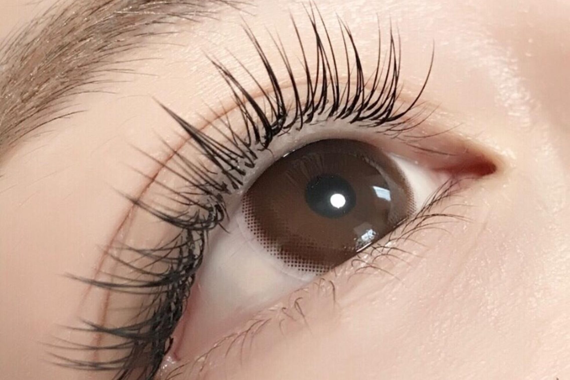 ラブレスルクス(LAVLESS LX)3