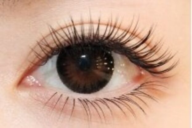 ラブレスルクス(LAVLESS LX)7