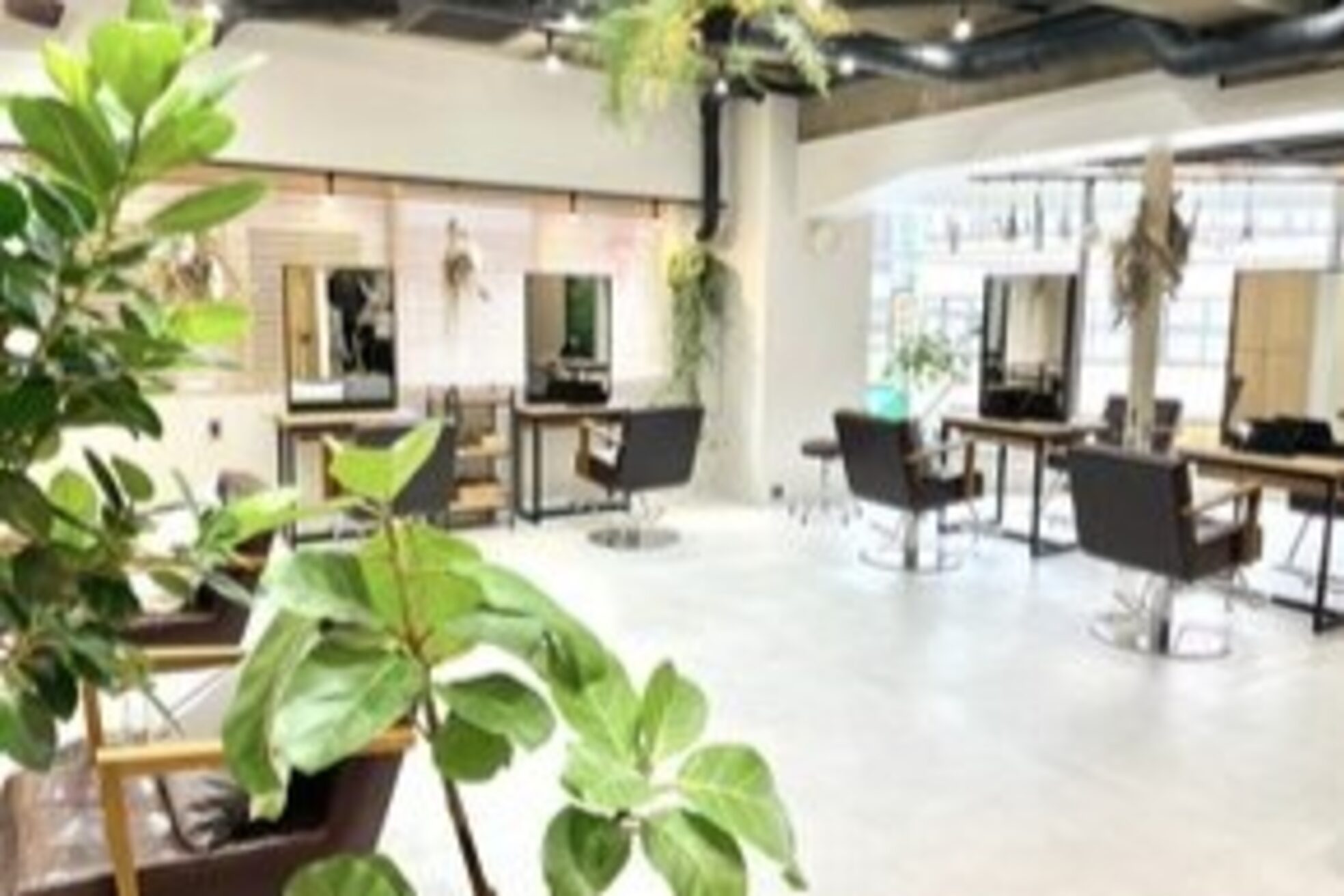 トットファム(tot.fam.)5