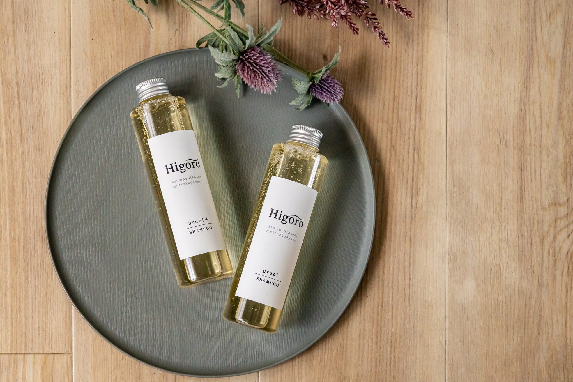 エストレーラ(estrela)9