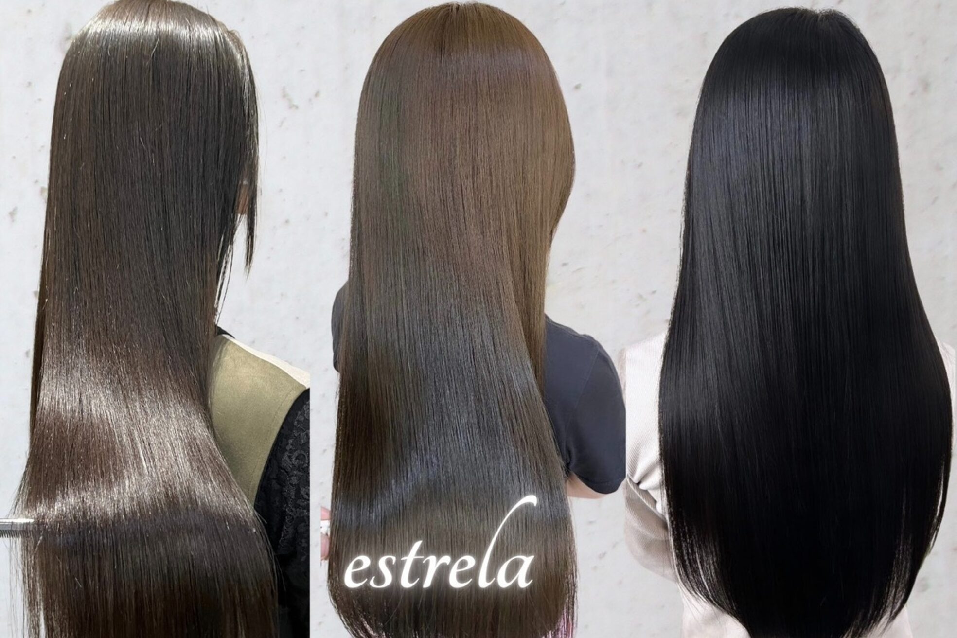 エストレーラ(estrela)22