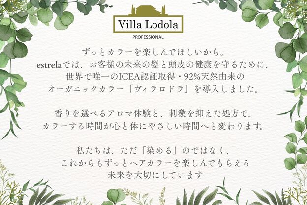 エストレーラ(estrela)13