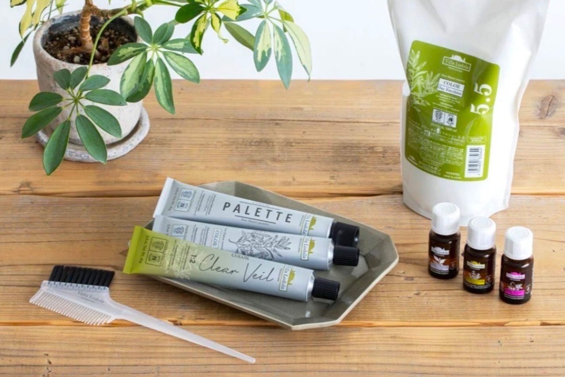 エストレーラ(estrela)14