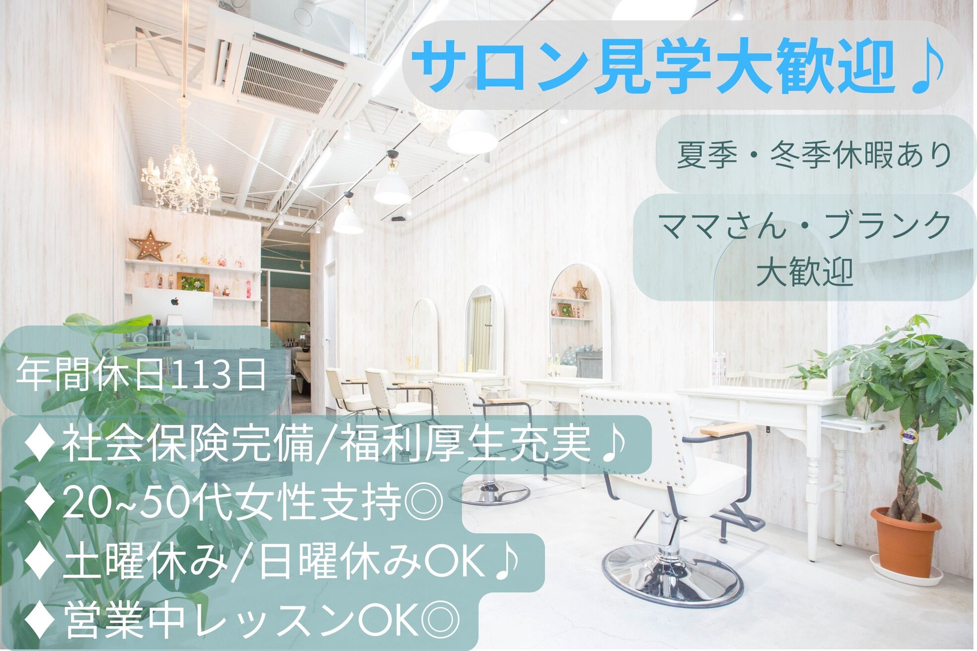 エストレーラ(estrela)1