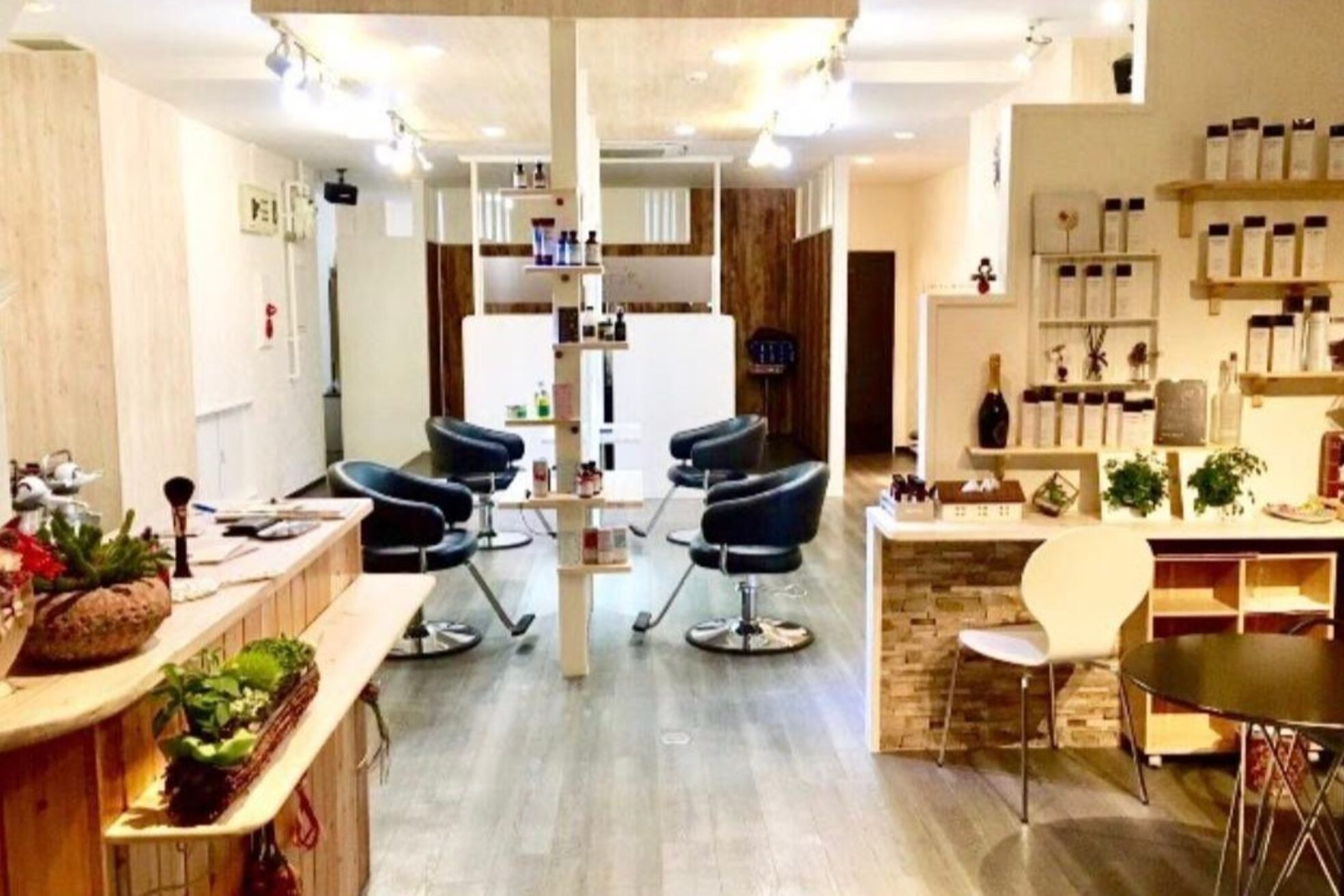 リフラス(Reflus.)1