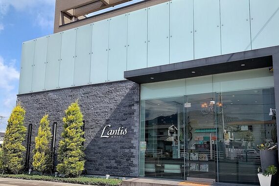 ランティスヘアー(Lantis hair)