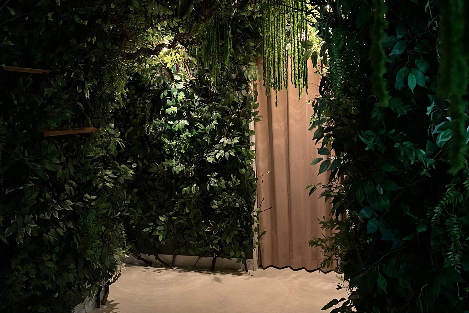 森の雨やどり けやき通り店2