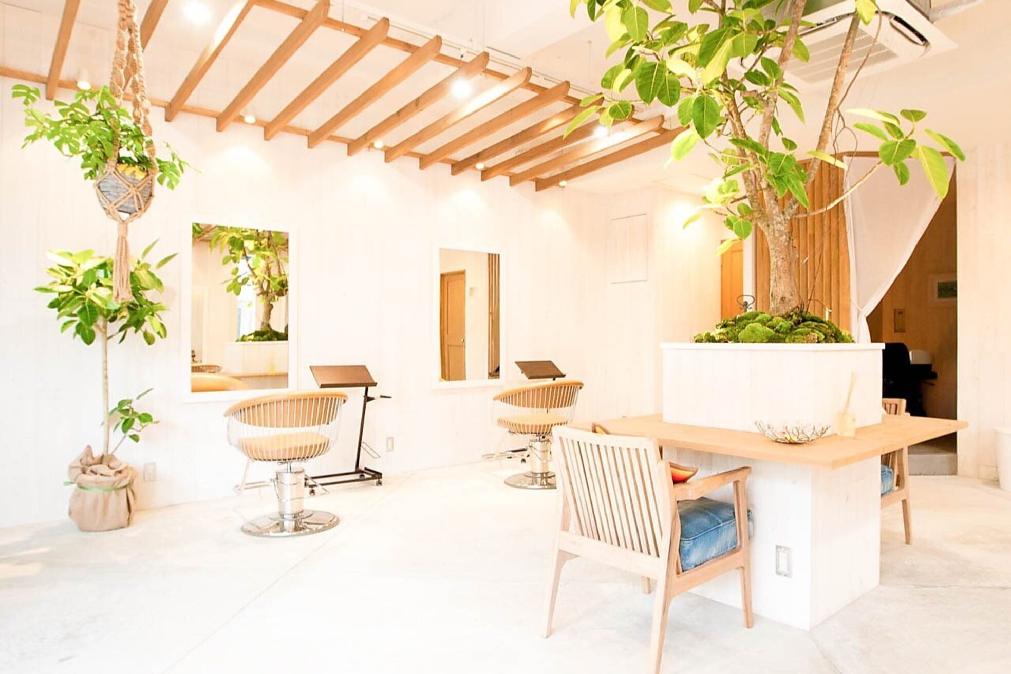 ルーヴル 西宮北口(Louvre)2