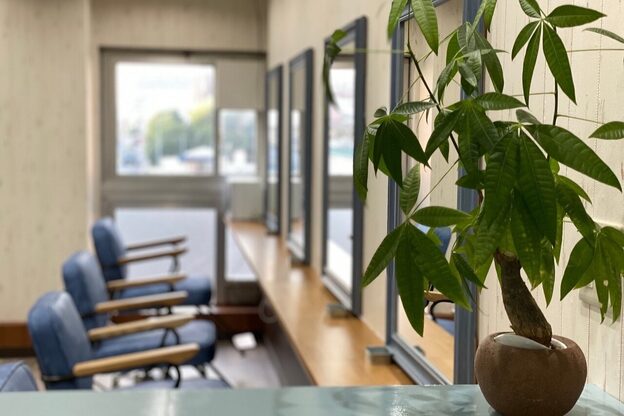 シェノン(CHAINON)1