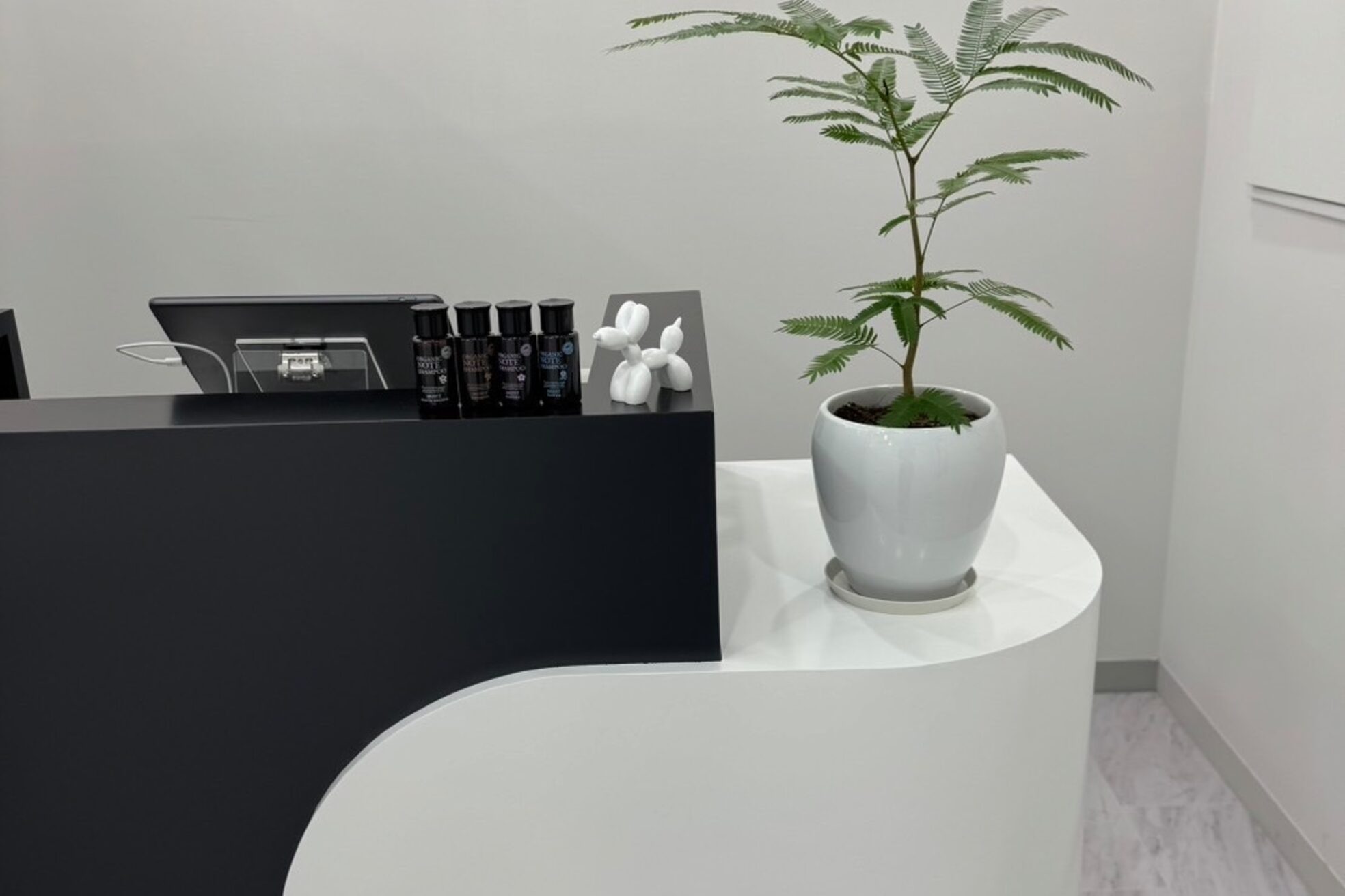 ピースバイラフトーキョウ(V by RAF Tokyo)1