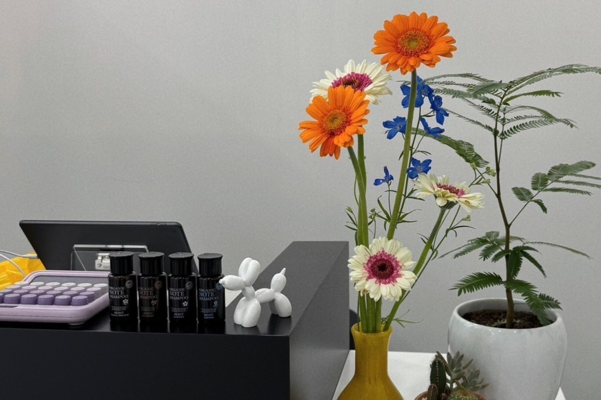 ピースバイラフトーキョウ(V by RAF Tokyo)2