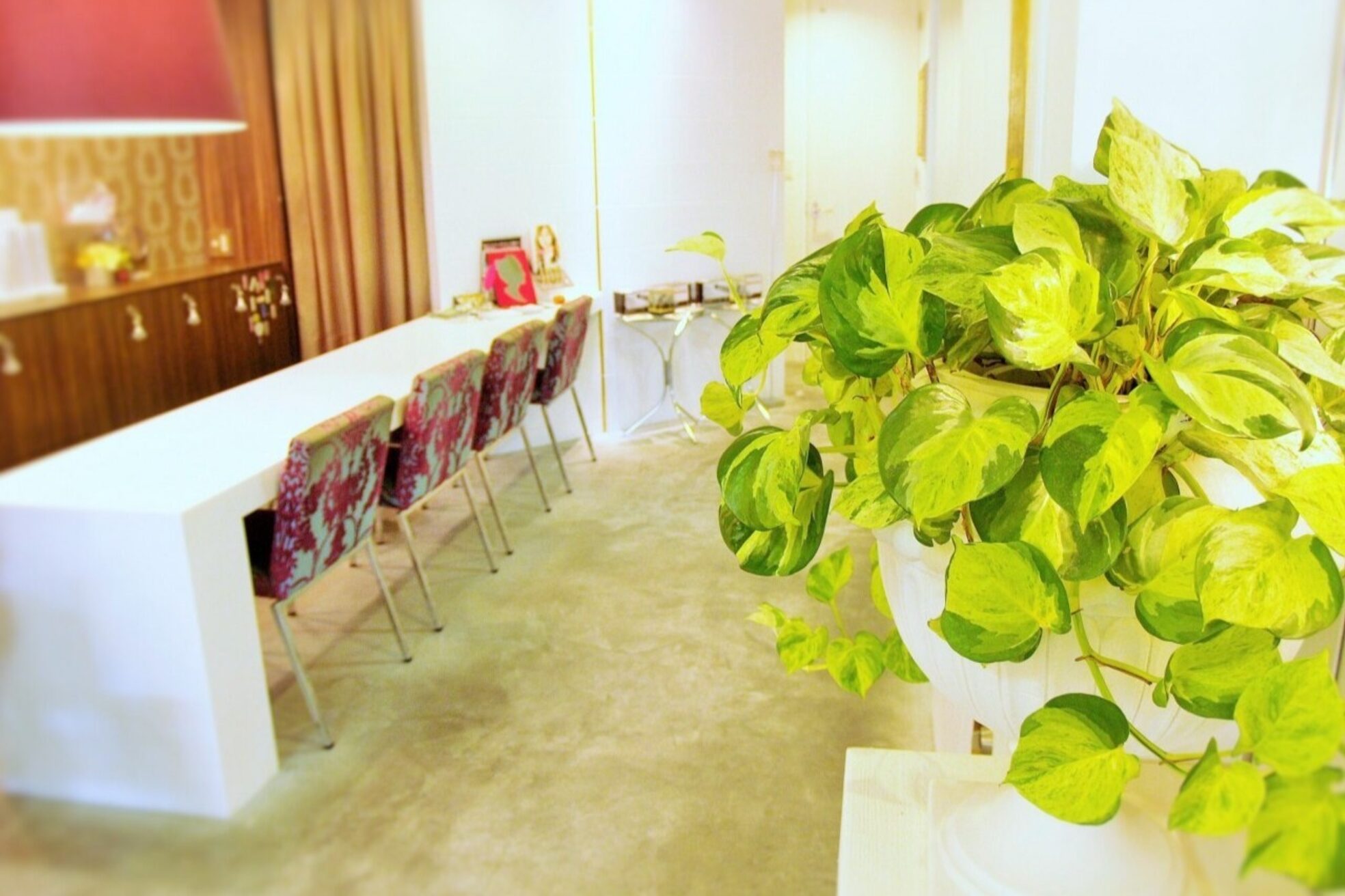 エフィール(afeel)1