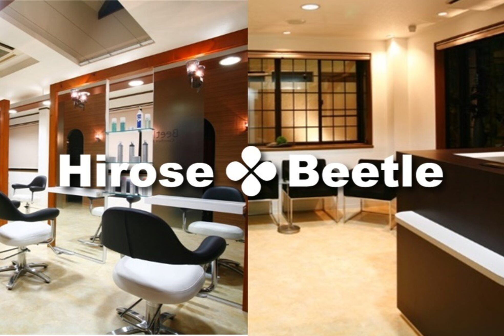 ビートル ビーワン(Beetle B1)4