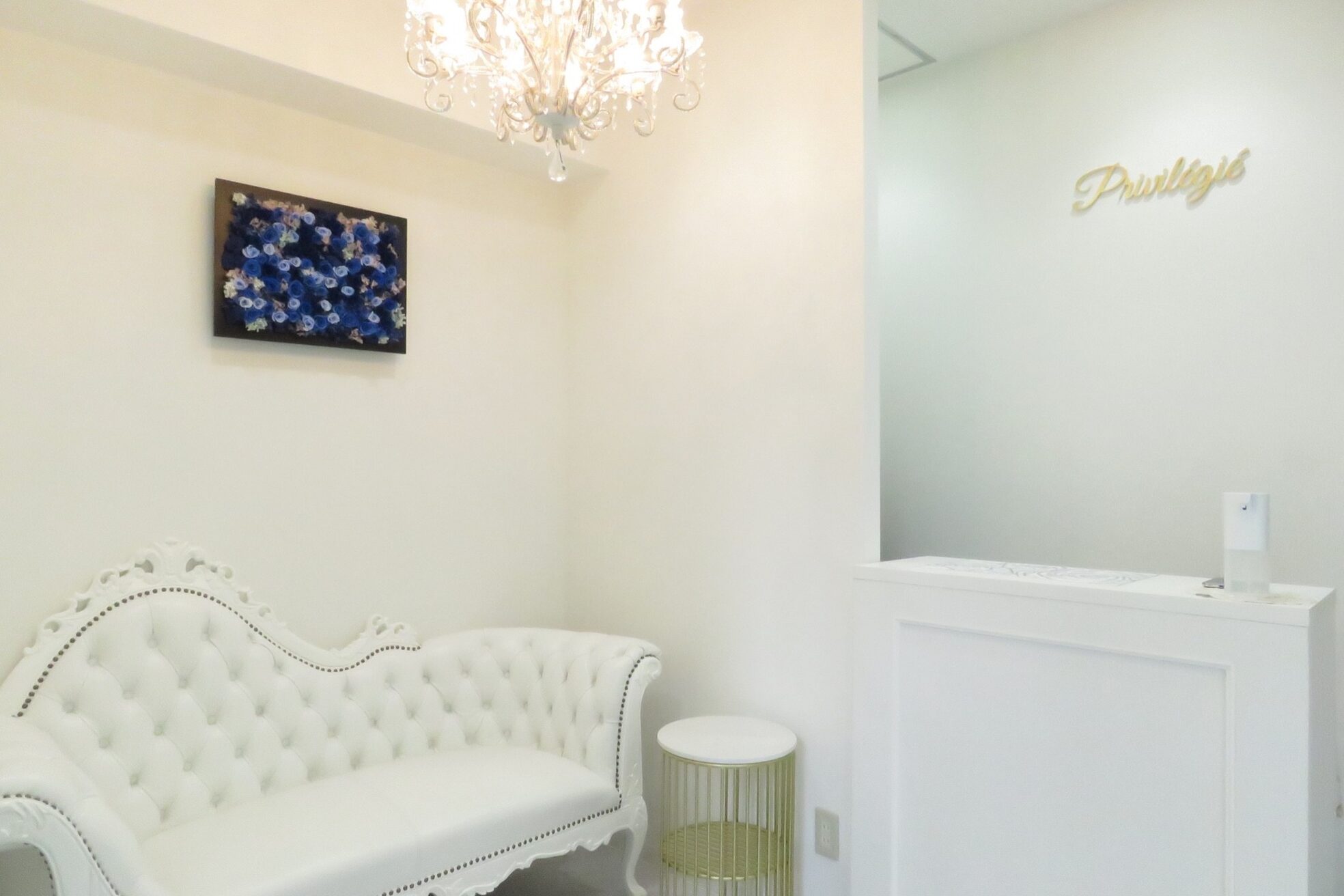 プリヴィエレジェ(privilegie)1