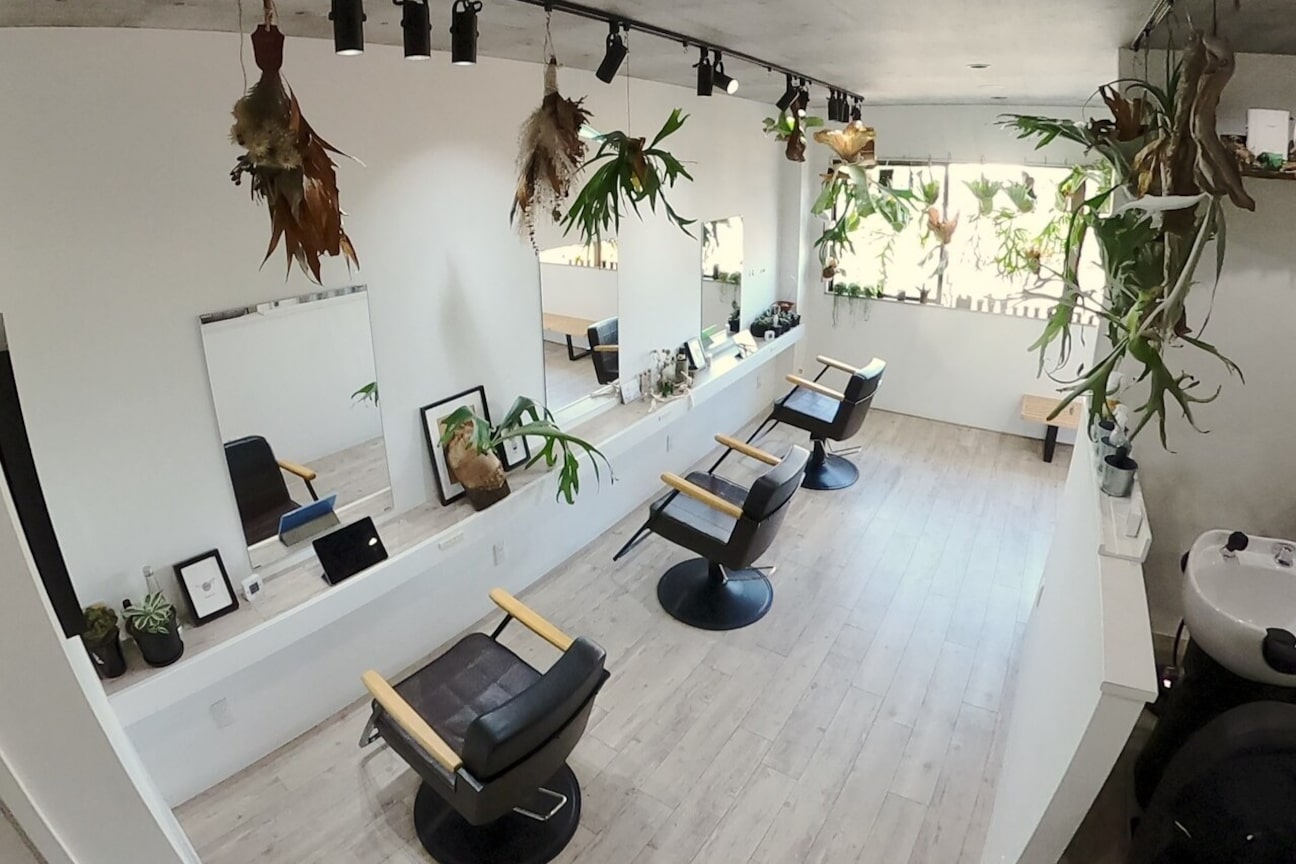 株式会社 LEM画像2