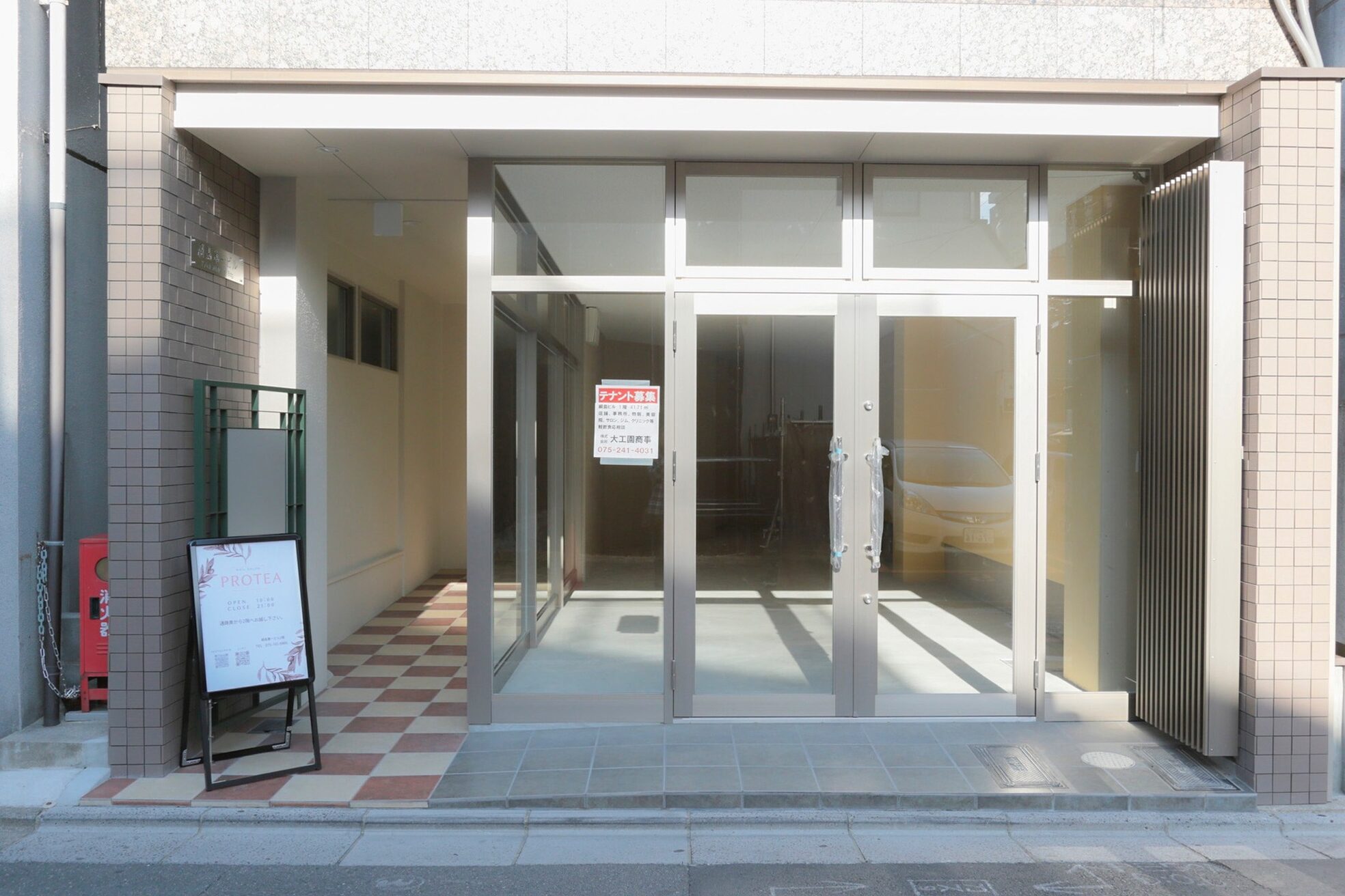 プロティア(Protea)2