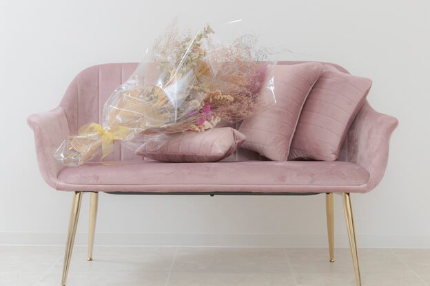 プロティア(Protea)3