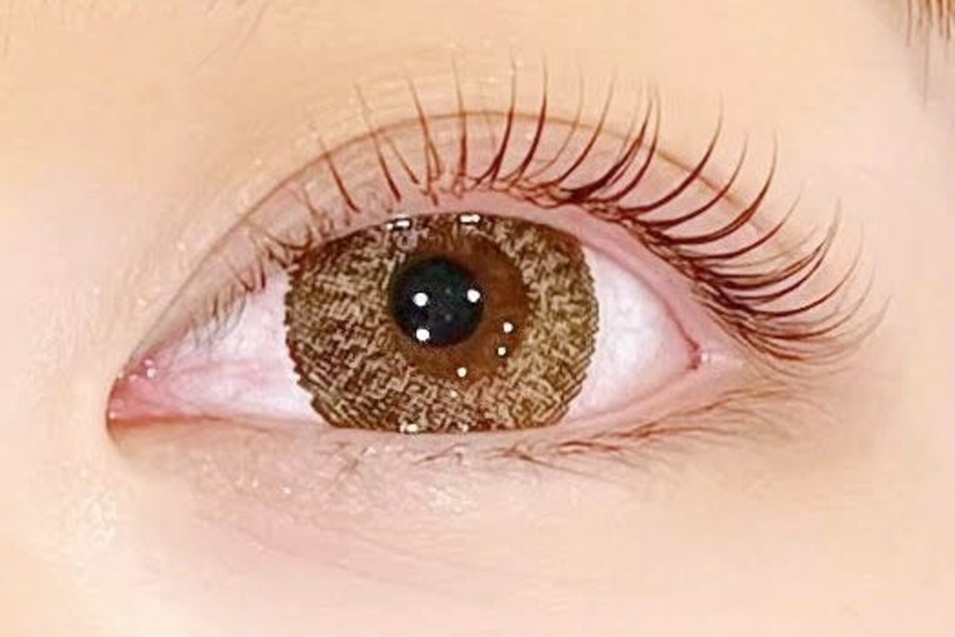 ハニーアンドミエル 京都駅前店(Honey&Miel)7