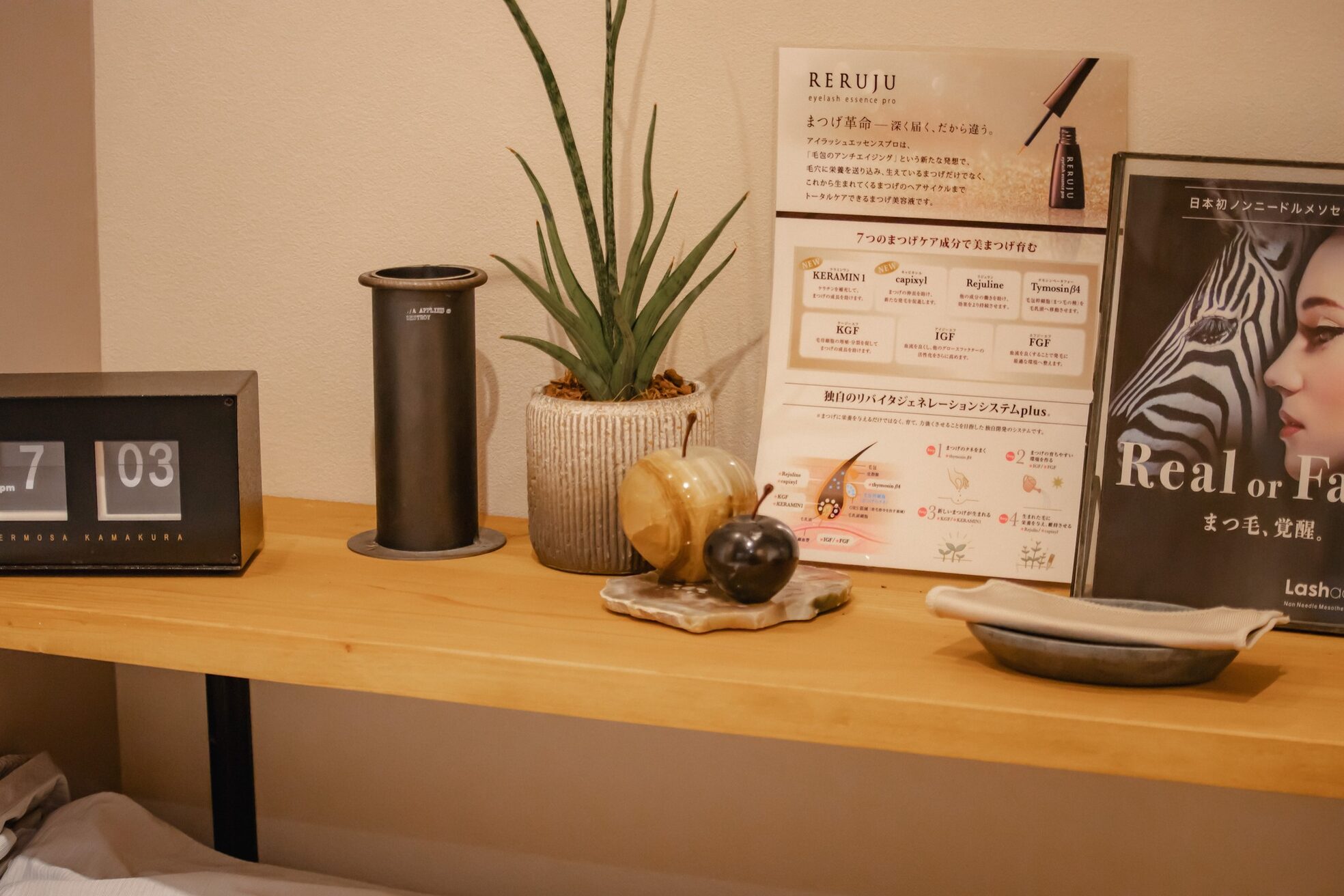 ワズ ツクバ(Was TSUKUBA)8