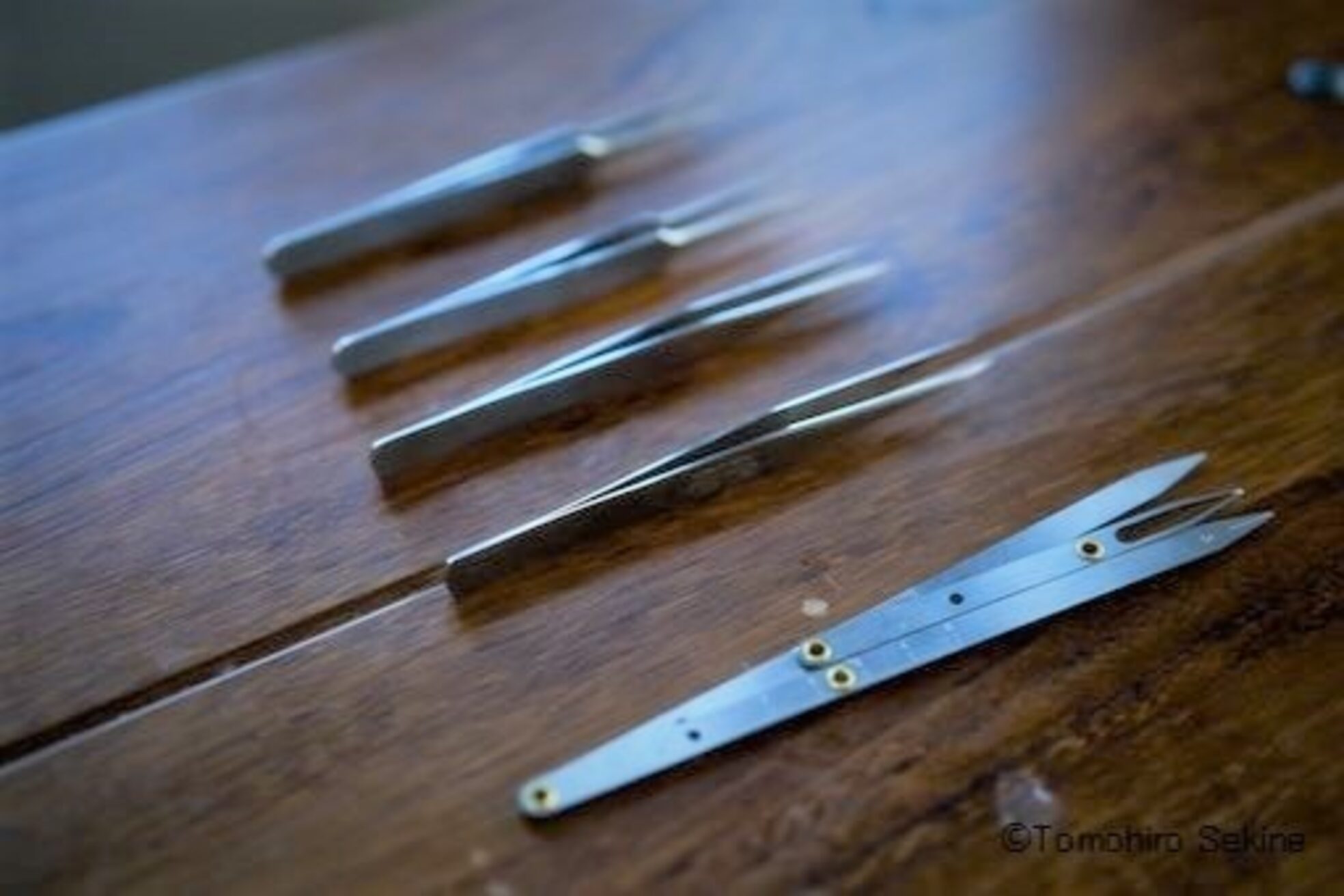 ワズ ツクバ(Was TSUKUBA)12