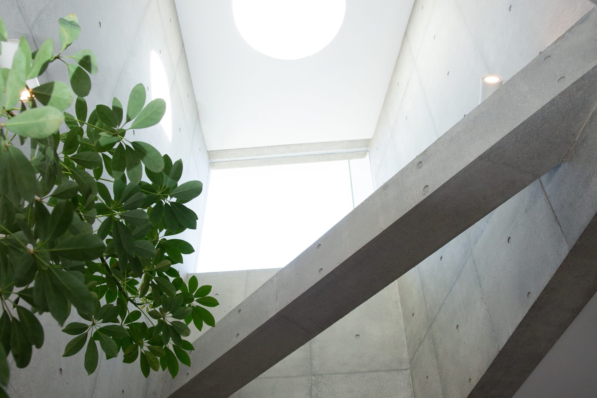 コレクトイズム(collec+ism)2