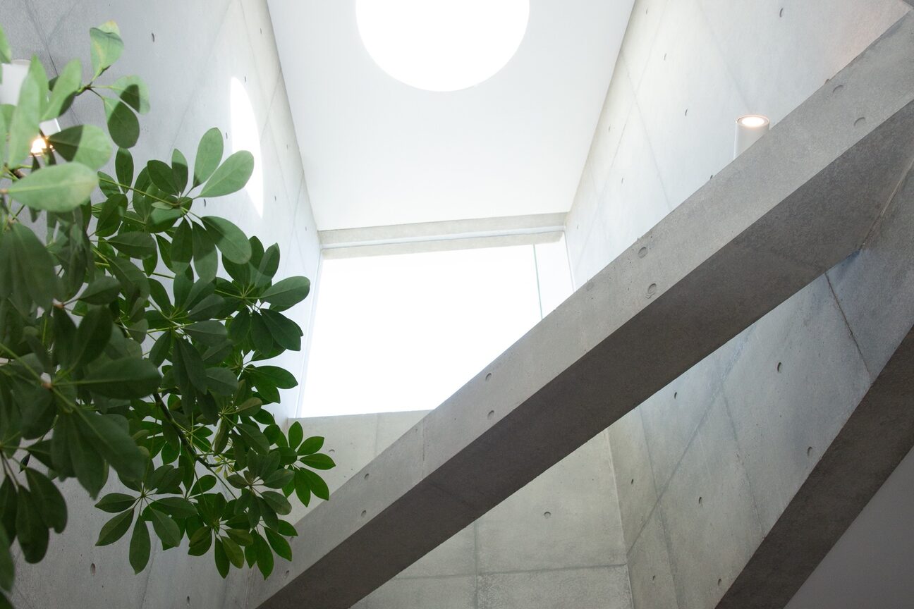 コレクトイズム(collec+ism)2