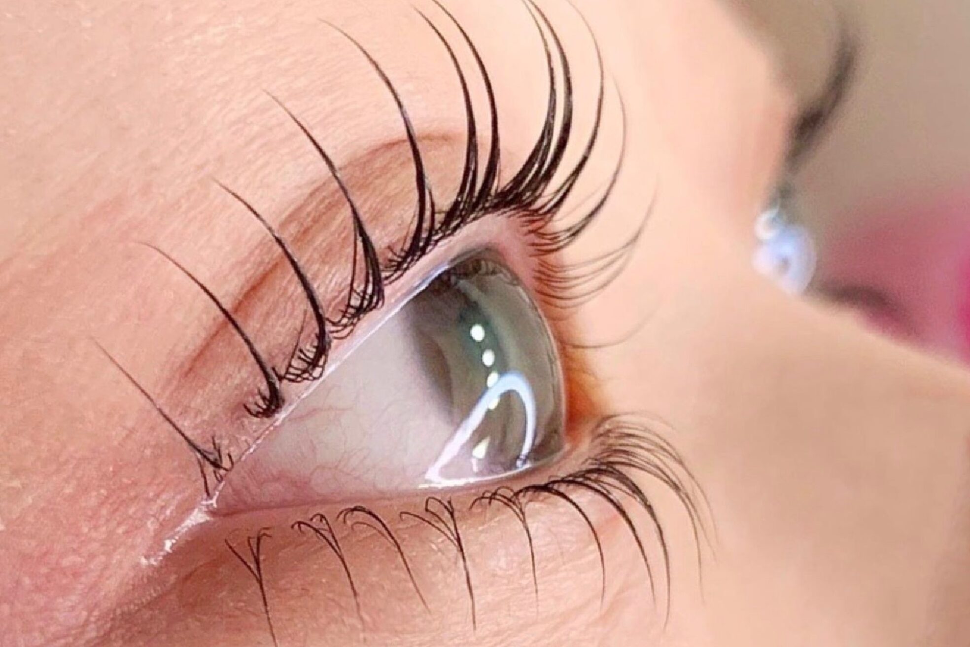 ローズラッシュ(Rose Lash)3