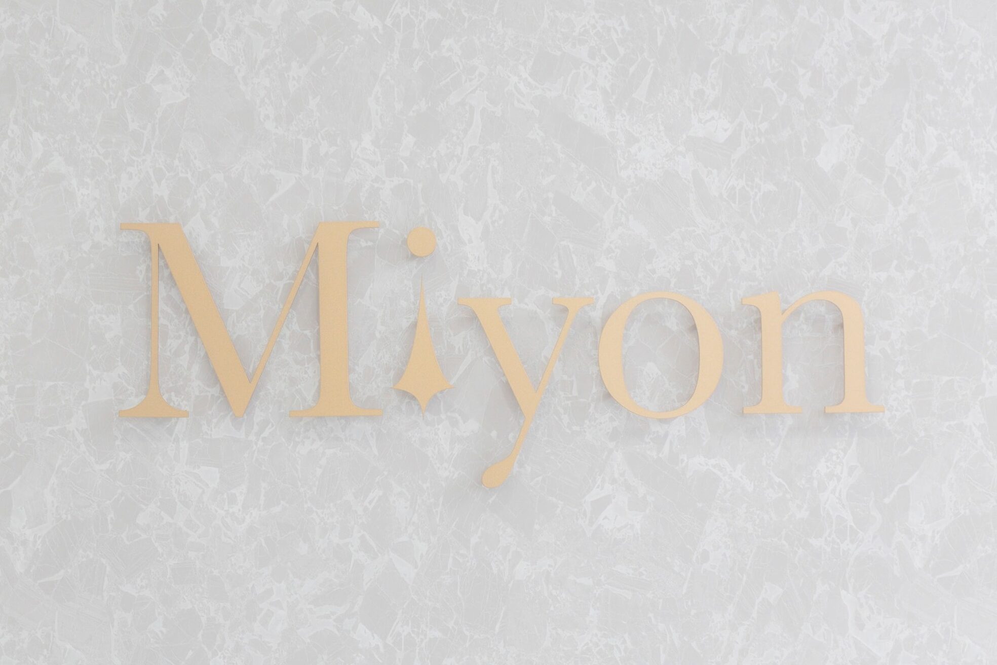 ミヨン(Miyon)2