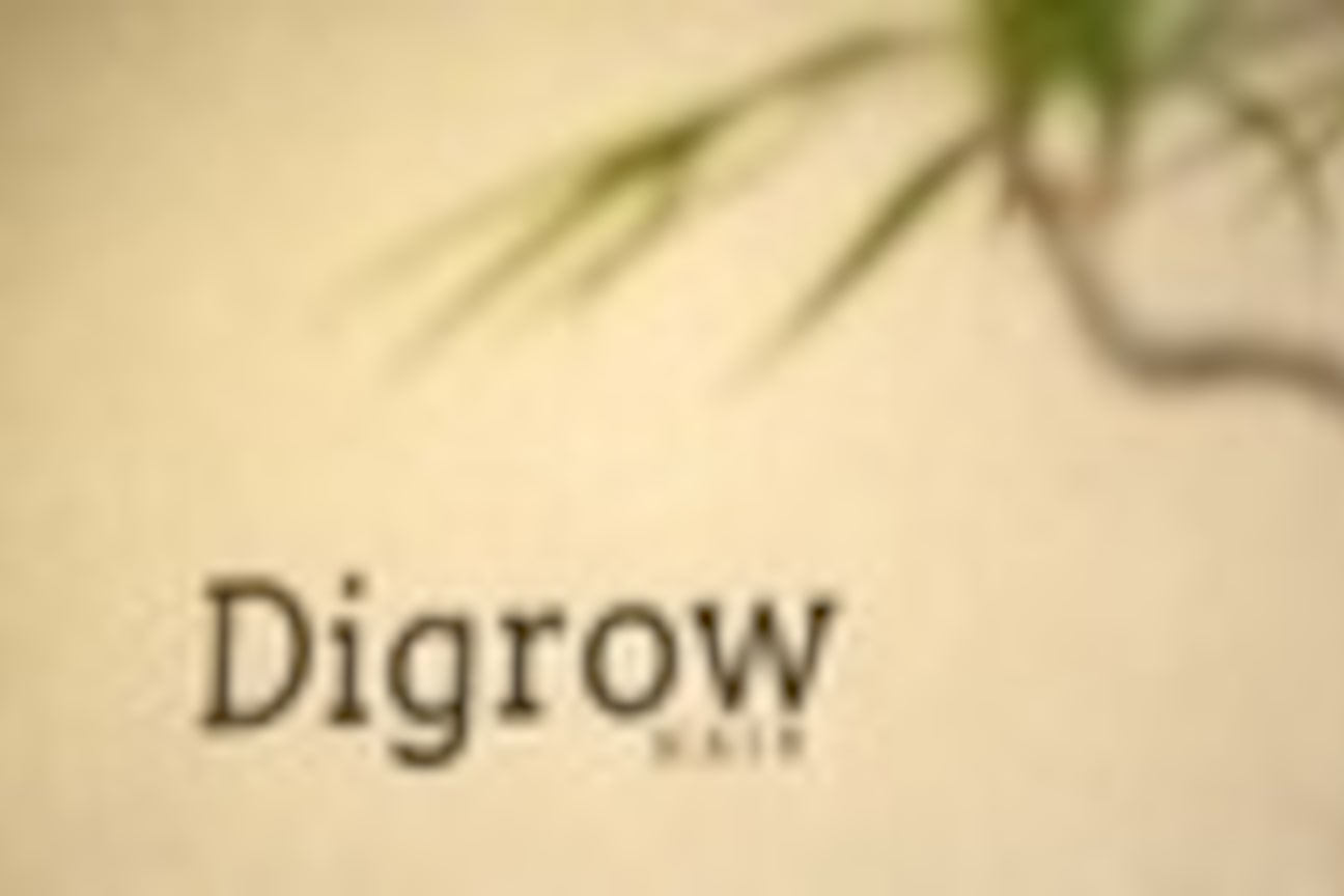 Ｄｉｇｒｏｗ画像1