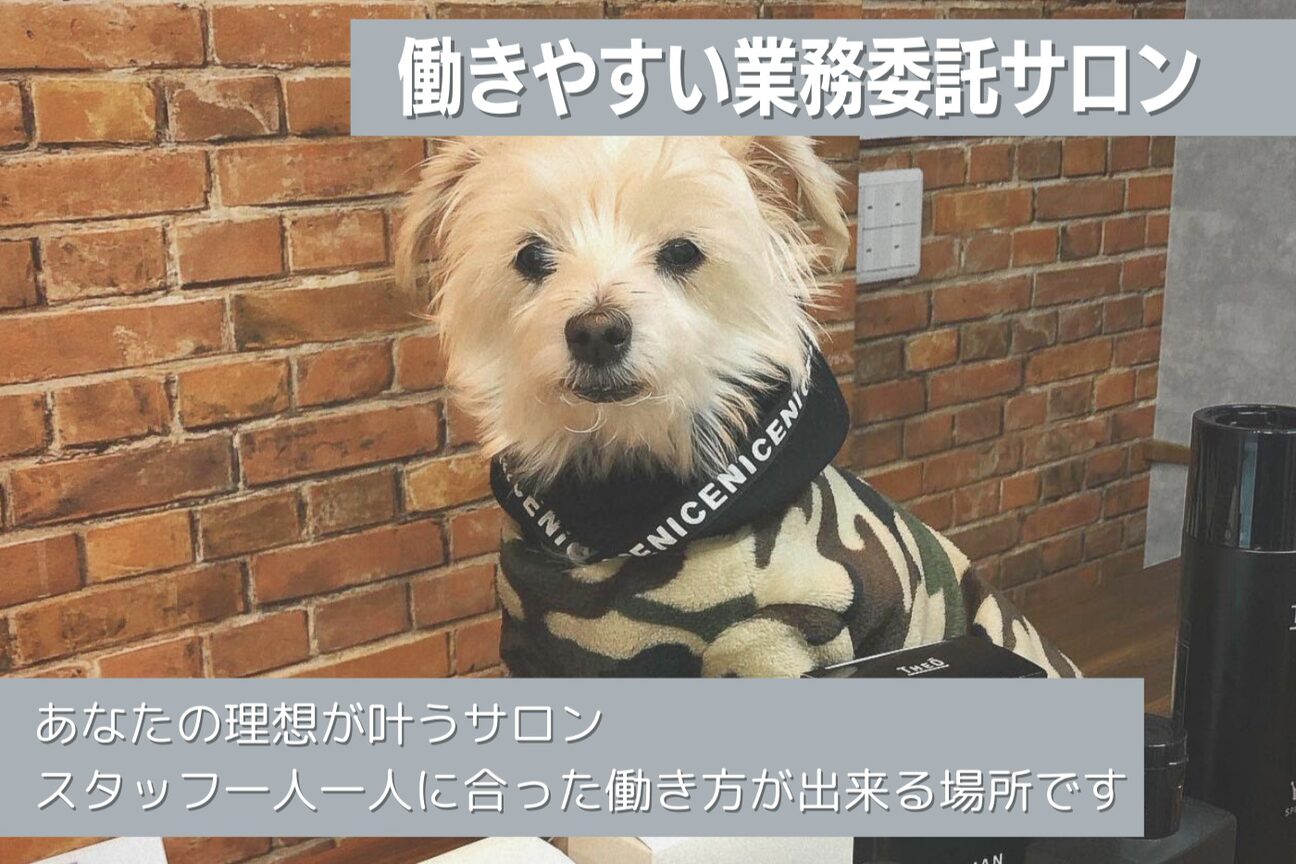 クリッパーズトウキョウ(CLIPPERS TOKYO)4