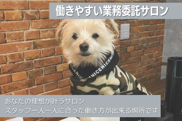 クリッパーズトウキョウ(CLIPPERS TOKYO)4