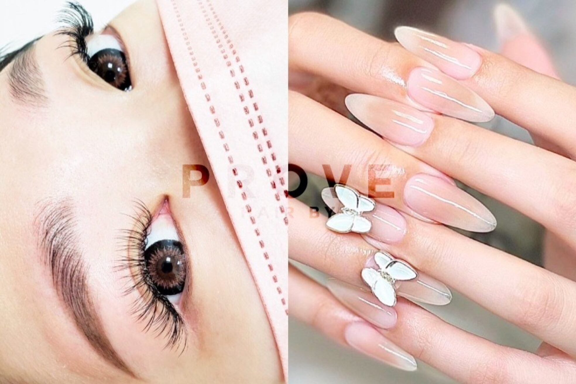 プルーヴ(PROVE)5