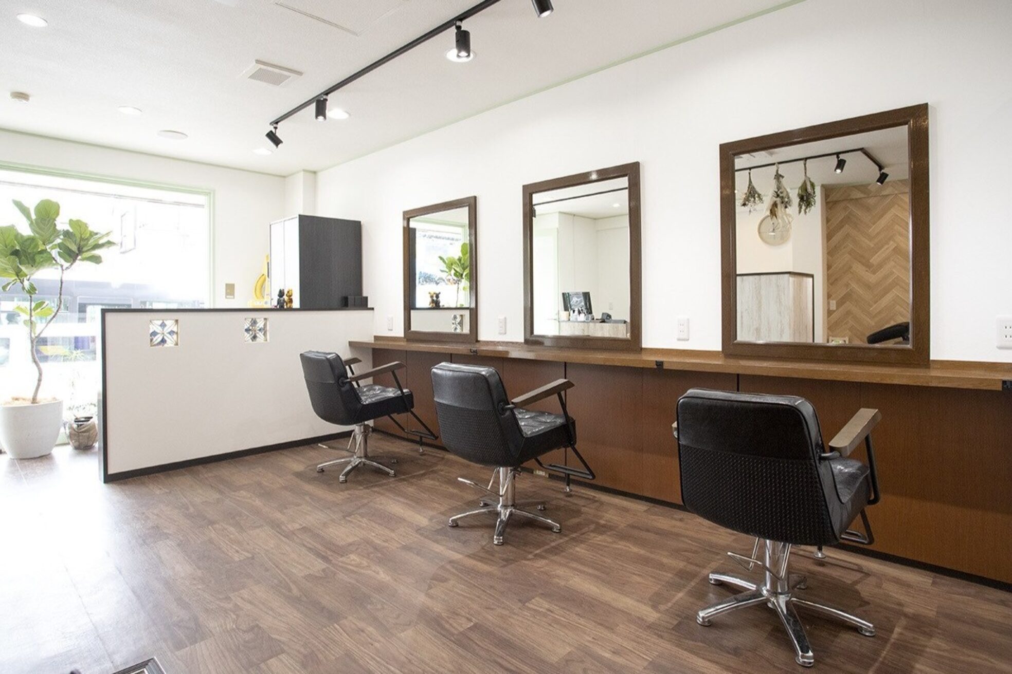 ソルセカンド(SOL 2nd)6