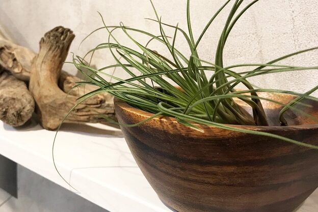 ザシラ 市川南店(THE SIRA)4