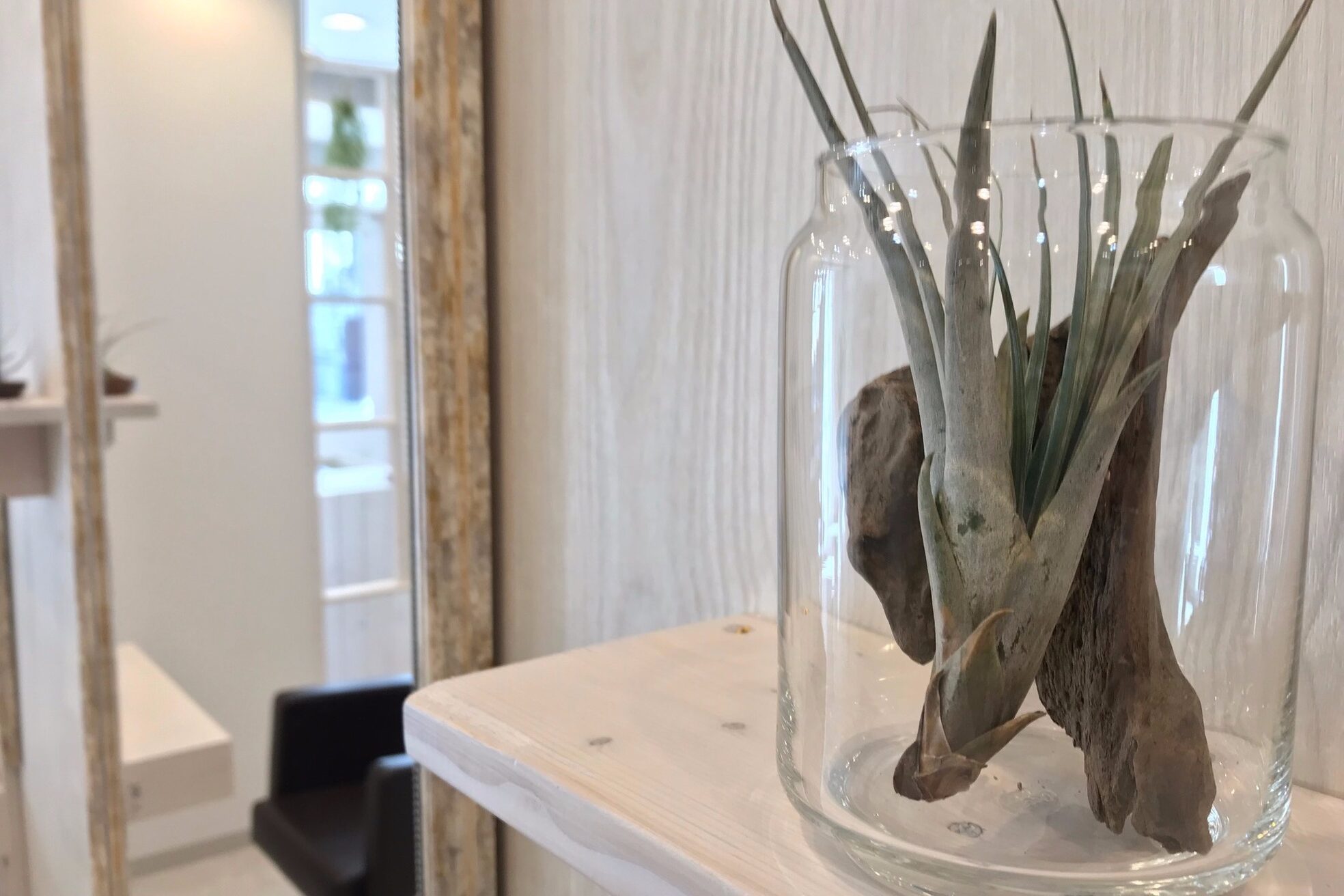 ザシラ 市川南店(THE SIRA)3